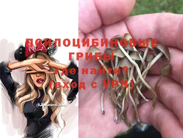 a pvp Алзамай